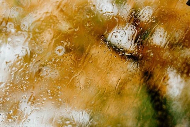 Photo gouttes d'eau sur le verre en automne texture automne