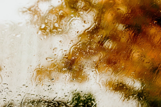 gouttes d'eau sur le verre en automne texture automne