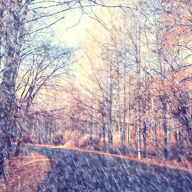 gouttes de fond de pluie d'automne / paysage d'automne abstrait par temps de pluie, paysage saisonnier dans le parc