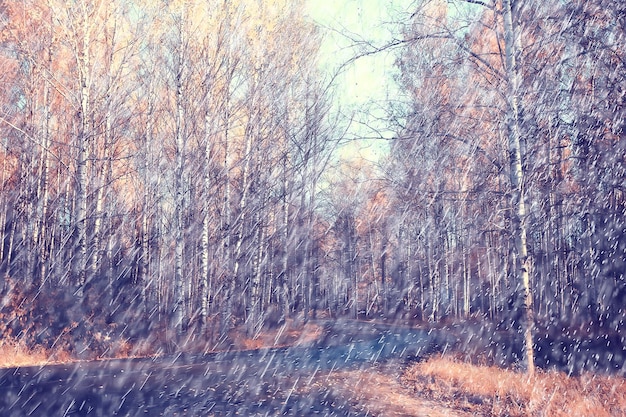 gouttes de fond de pluie d'automne / paysage d'automne abstrait par temps de pluie, paysage saisonnier dans le parc