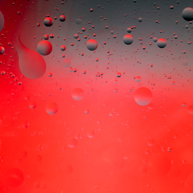 Photo gouttes d'huile végétale dans l'eau sur fond rouge.