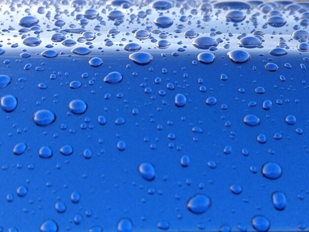 Photo des gouttes de pluie sur le bleu