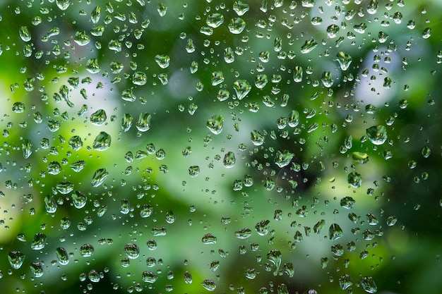 Les gouttes de pluie sur la fenêtre avec un arbre vert flou sur.