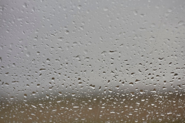 Des gouttes de pluie glissent sur la vitre : des gouttes de pluie sur la vitre.