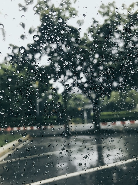 Gouttes de pluie sur les verres de fenêtre