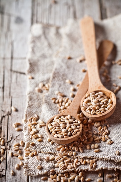 Grain de blé dans des cuillères en bois