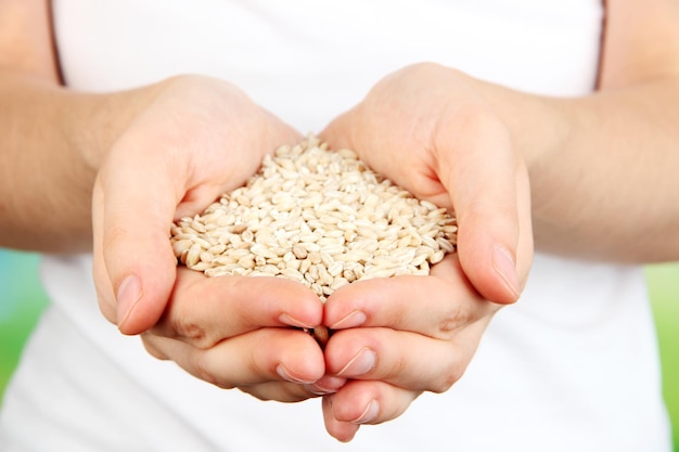 Grain de blé dans les mains des femmes sur fond naturel