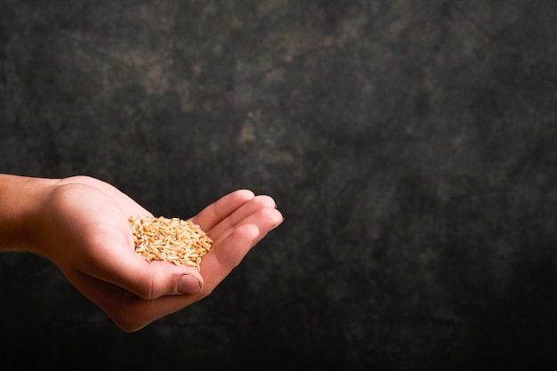 Grain de blé dans une vieille assiette entre les mains d'un agriculteur sur fond grunge gris foncé Problèmes d'approvisionnement en blé et en farine Concept d'approvisionnement alimentaire mondial et de crise mondiale de la faim Maquette