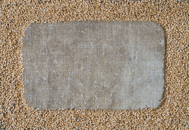 Grain de blé sous forme de cadre sur toile de jute