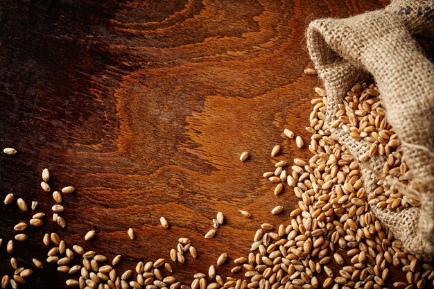 Grain de blé sur table en bois