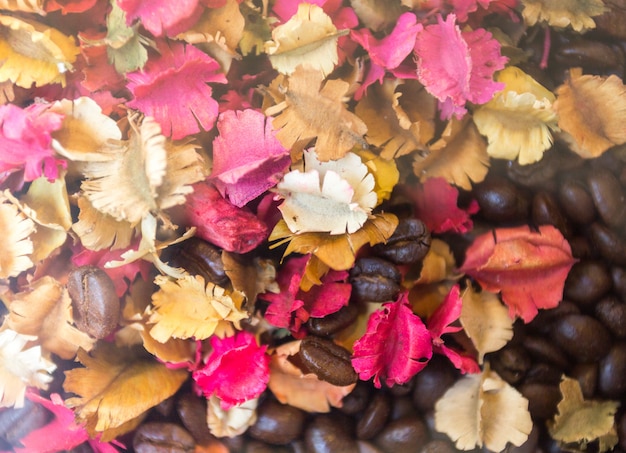 Grain de café et fleur sèche