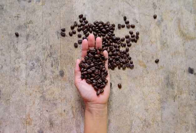 Grain de café à la main sur le vieux bois