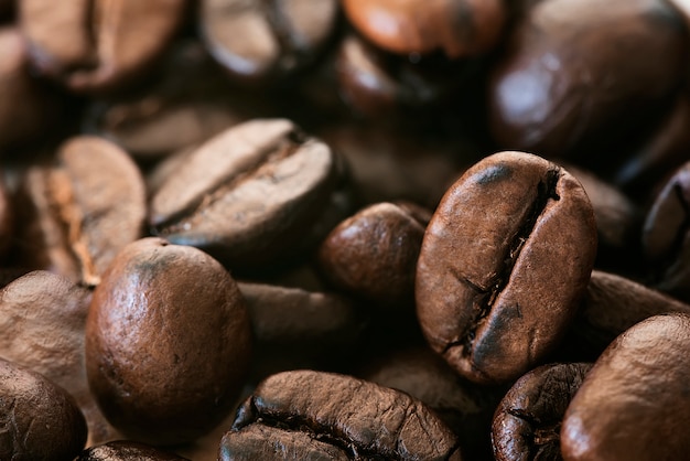 Grain de café torréfié en vue rapprochée.