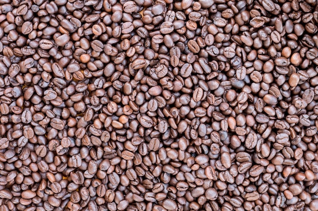 grain de café