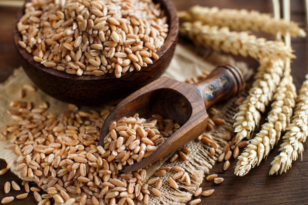 Grain d'épeautre entier non cuit dans un bol avec une cuillère en bois et des oreilles d'épeautre sur la table close up