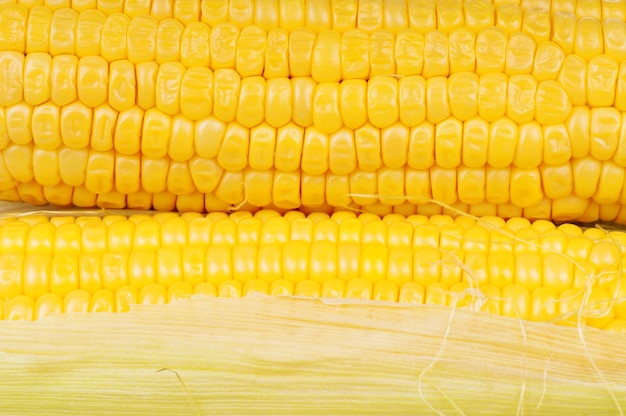 Un grain de maïs frais sur un fond blanc