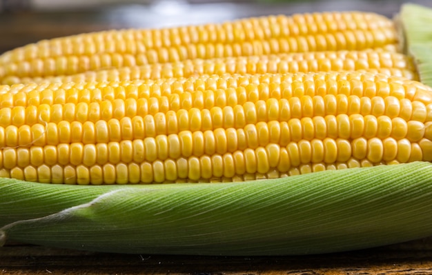 grain de maïs sucré