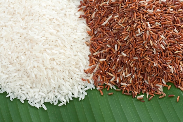 grain de riz blanc et rouge sur feuille de bananier