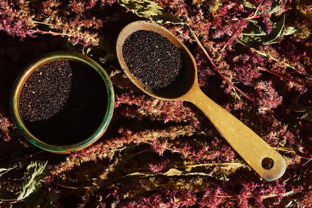 Graine d'amarante noire et inflorescence rouge dans une tasse et une cuillère