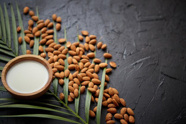 Photo graines d'amande avec bol de lait naturel frais placé sur fond de pierre noire feuille de palmier comme décoration vue supérieure espace de copie pour le texte