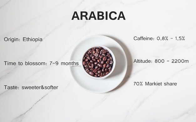 Graines d'Arabica avec descriptions des grains de café Arabica