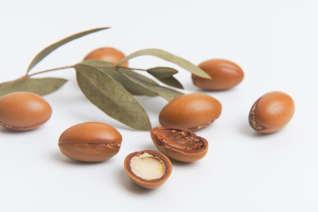 Photo graines d'argan isolés sur fond blanc noix d'huile d'argan avec des cosmétiques végétaux et naturels