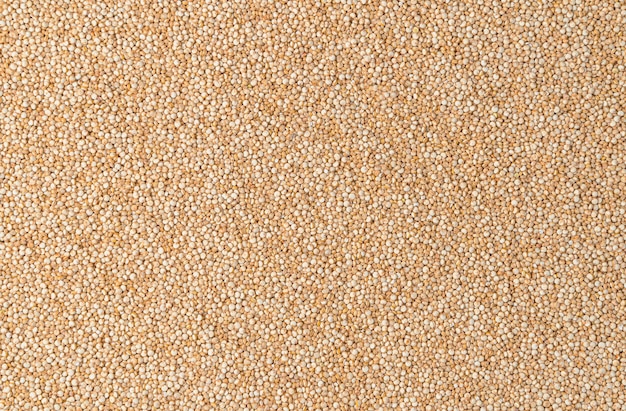 Photo graines blanches de quinoa utiles arrière-plan culinaire vue horizontale