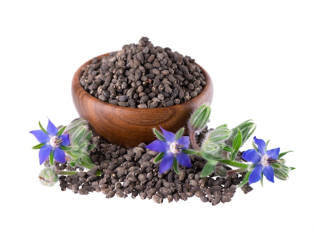 Photo graines de borage avec des fleurs dans un bol en bois isolées sur un fond blanc graines de borago officinalis et