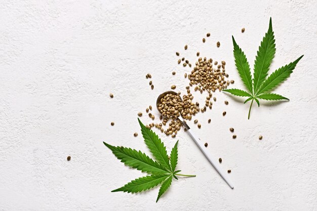 Graines de cannabis en cuillère et feuilles sur fond blanc Vue de dessus avec espace de copie