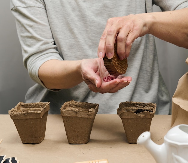 Graines de concombre dans un palmier femelle Planter des graines dans une tasse en carton de papier à la maison passe-temps