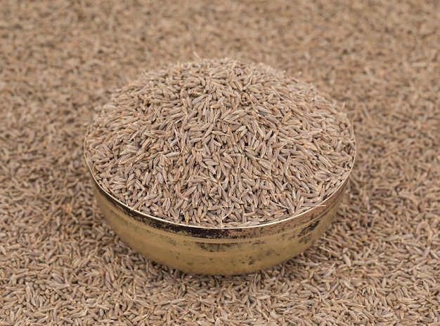 Graines de cumin séchées