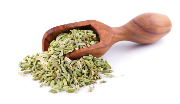 Graines de fenouil dans une cuillère en bois isolé sur fond blanc Grains de fenouil vert Épices et herbes