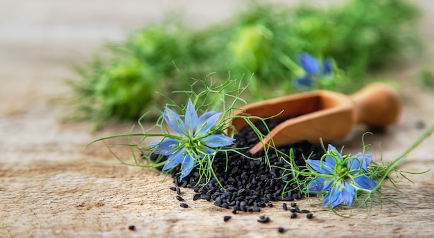 Photo graines et fleurs de cumin noir. mise au point sélective.