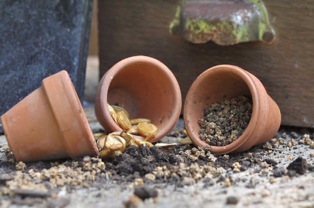 Photo graines de légumes dans des pots en terre cuite