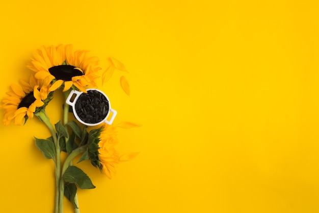 Graines de tournesol avec des fleurs dans un bol en céramique blanche sur fond jaune