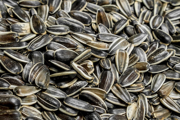 Graines de tournesol grillées