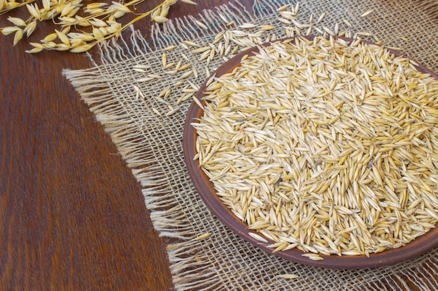 Grains d'avoine sur une assiette en céramique. Brins d'avoine