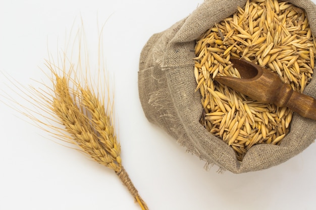 Grains d'avoine dans le sac. Cuillère en bois. Brindille d'orge