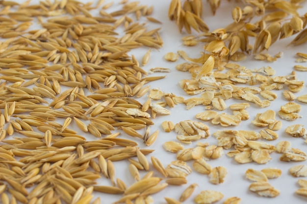 Grains d'avoine, flocons d'avoine et brindilles d'avoine sur fond blanc