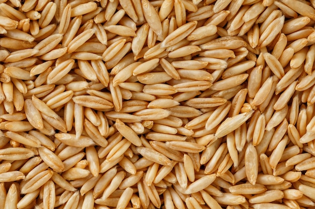 Grains d&#39;avoine naturels