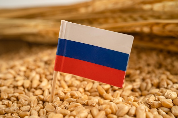 Grains de blé avec le concept d'exportation et d'économie du drapeau de la Russie