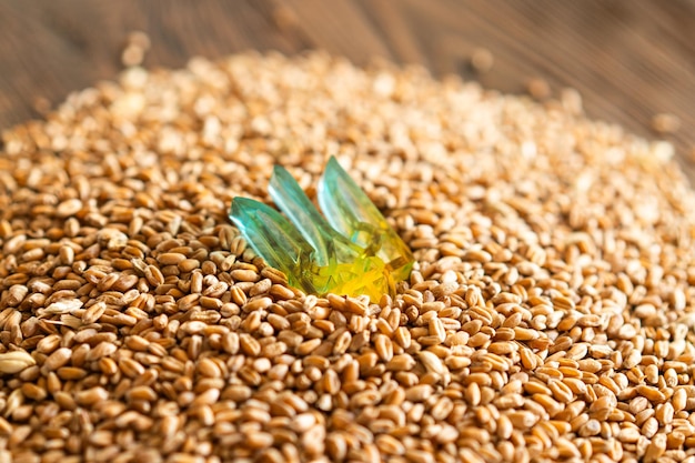 Grains de blé avec drapeau ukrainien jaune et bleu sur fond de bois