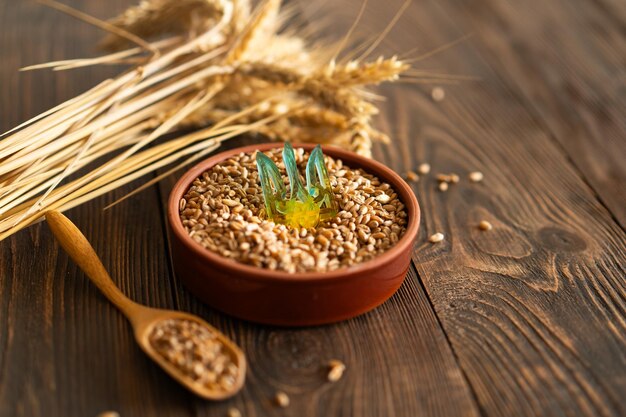 Grains de blé avec drapeau ukrainien jaune et bleu sur fond de bois