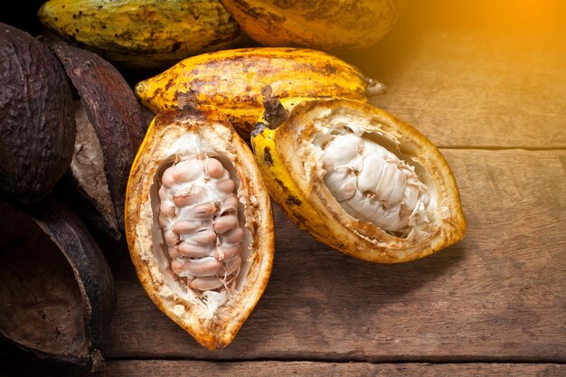 Grains de cacao et gousses de cacao sur une surface en bois