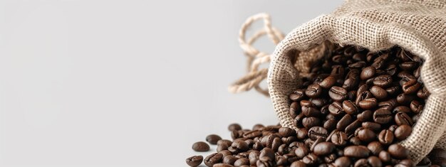 grains de café aromatiques frais dans un sac sur un fond blanc