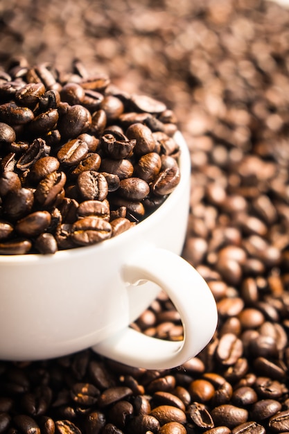 Grains de café brun dans une tasse blanche