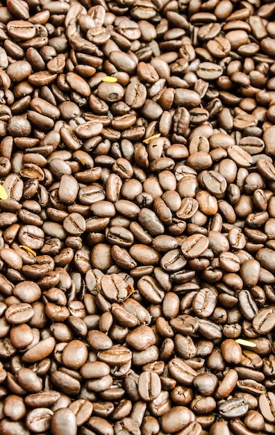 Grains de café bruns, gros plan de grains de café