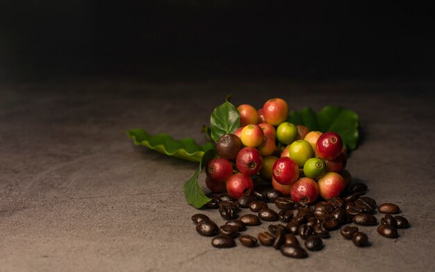 Grains de café et café mûr rouge isolé sur fond sombre.