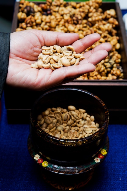 Grains de café de la civette.