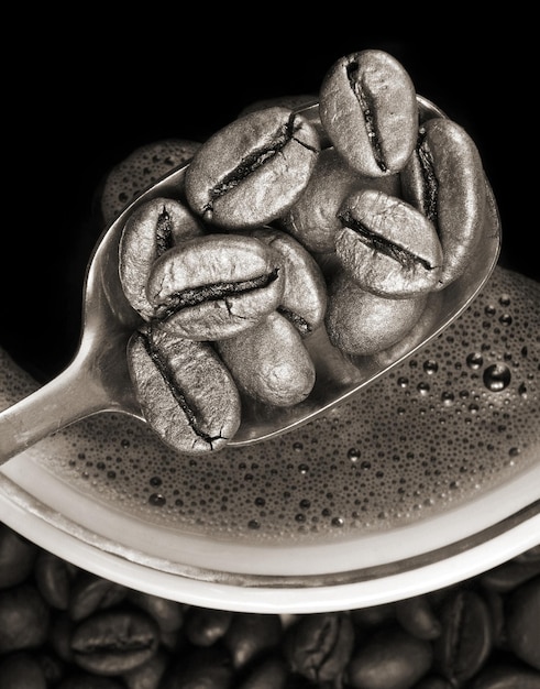 grains de café dans une cuillère noir et blanc